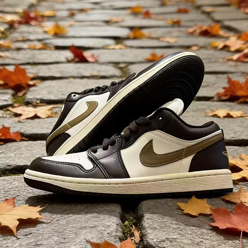 Nike Jordan Air Jordan 1 Low W - Women Shoes Jordan recensie en prijs