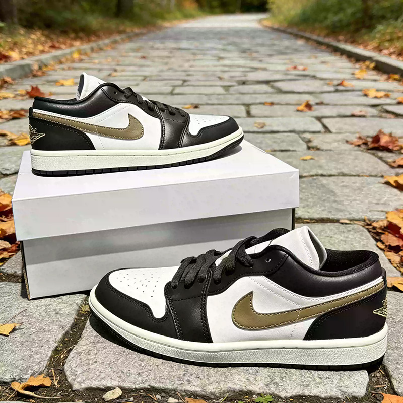 Nike Jordan Air Jordan 1 Low W - Women Shoes Jordan recensie en prijs