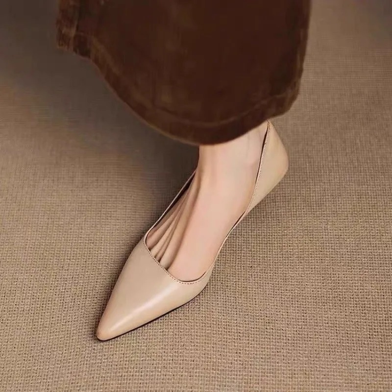 Dames puntschoen stiletto hakk - Women Shoes With Heels recensie en prijs